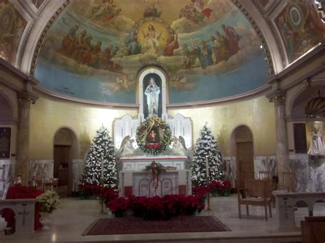 Jan 6, 2024 · St. Mary of Mount Carmel / Blessed Sacrament Parish. 648 JAY ST., UTICA, NY 13501 – 315-735-1482. ABOUT US; BULLETIN; CONTACT; MASS SCHEDULES; PHOTOS. 2023 PHOTO ALBUMS; ... By SISTER MARY McGLONE. The Gospels tell us that, in response to various circumstances, Jesus rejoiced, wept, demonstrated anger …